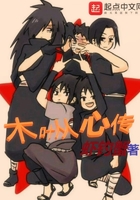 木叶从心传 小说
