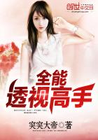 全能透视高手