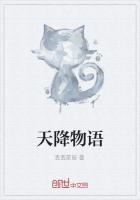 天降物语