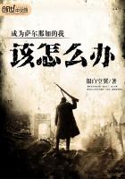 成为萨尔那加的我该怎么办