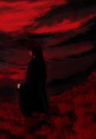 听闻过往十忆九殇全文免费阅读